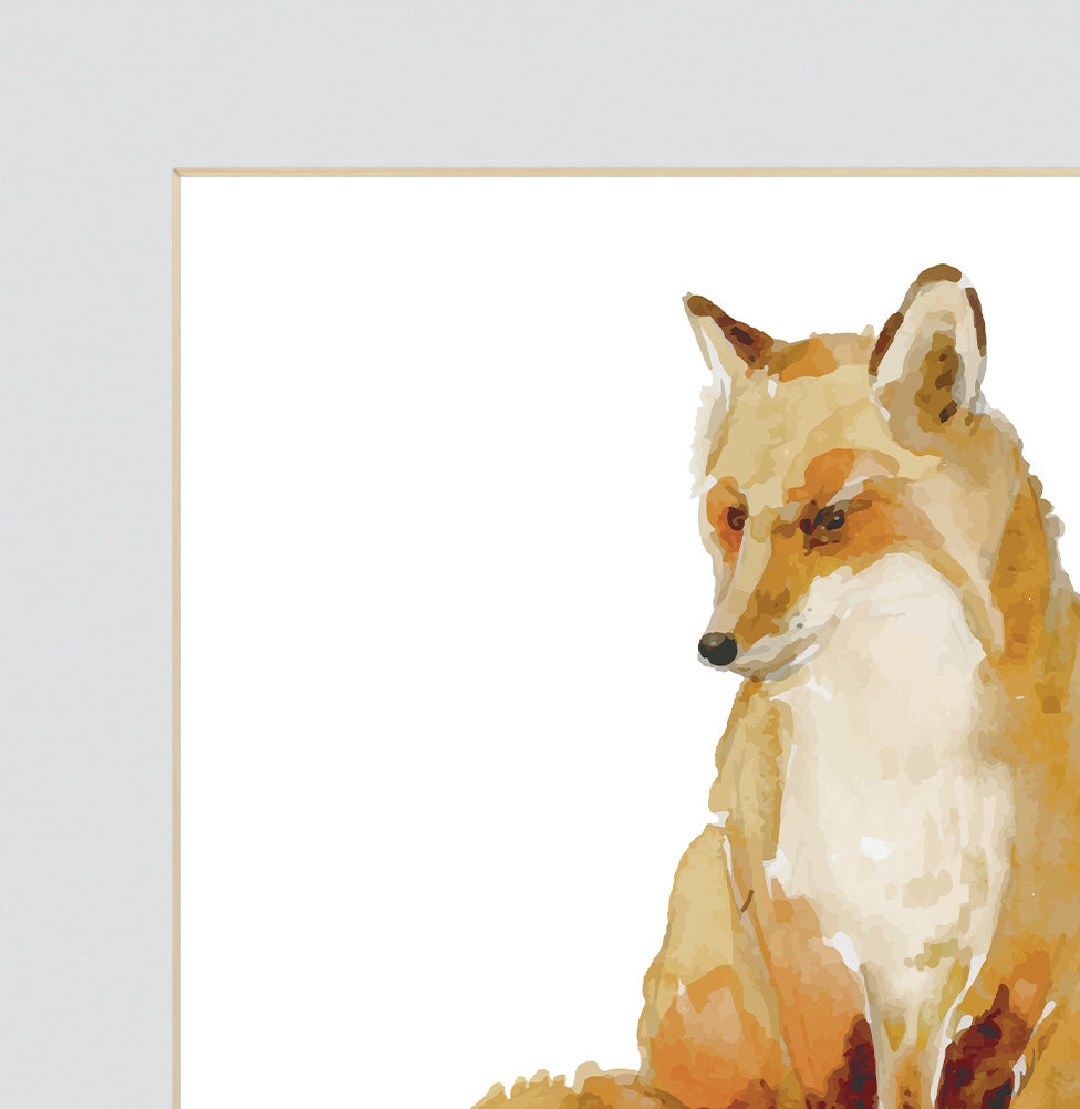 Conjunto com 4 Quadros Pássaros e Raposa Moldura Filete Pinus