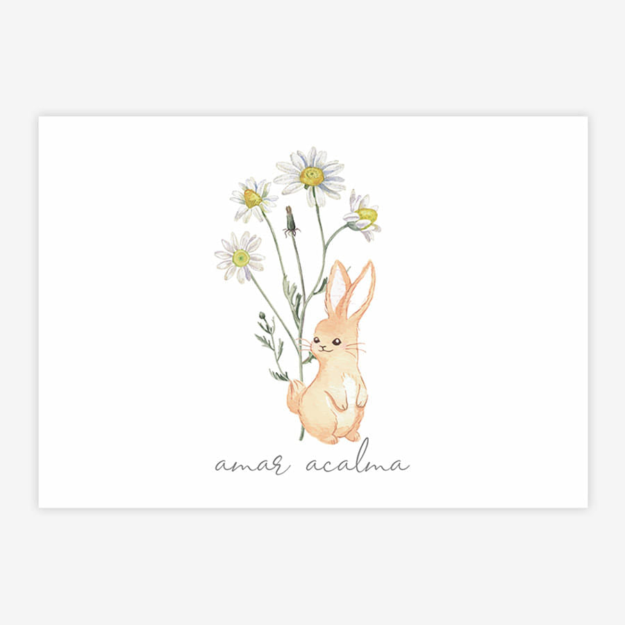 Quadro Infantil Coelho Amar Acalma Coral