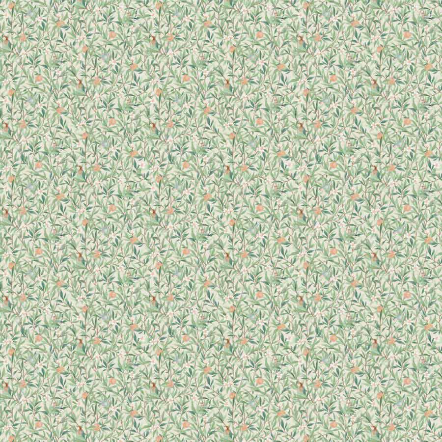 Papel de Parede Folhas com Pássaros Aquarela Verde