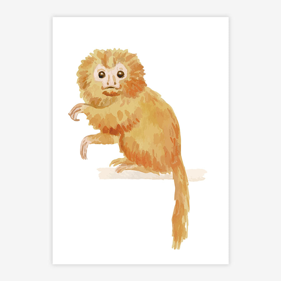 Quadro Infantil Mico Leão Dourado Aquarela - Vertical