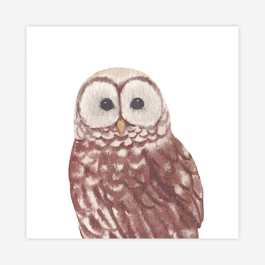 Quadro Infantil Coruja Aquarela - Quadrado