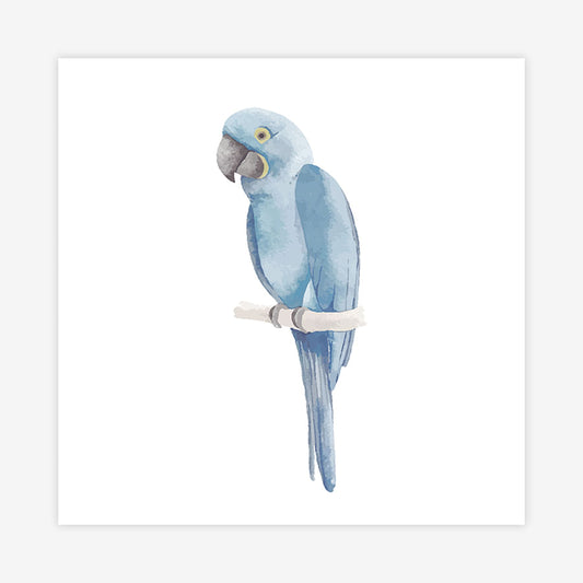Quadro Infantil Arara Azul Aquarela - Quadrado