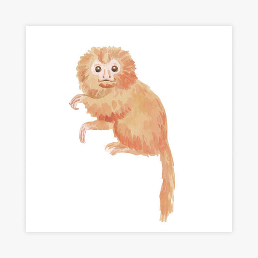 Quadro Infantil Mico Leão Dourado Aquarela - Quadrado