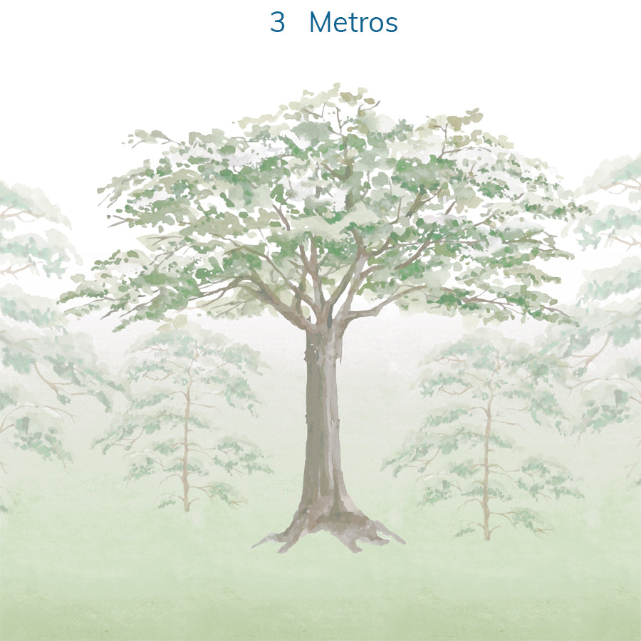 Papel de Parede Infantil Floresta Aquarelada - Mural