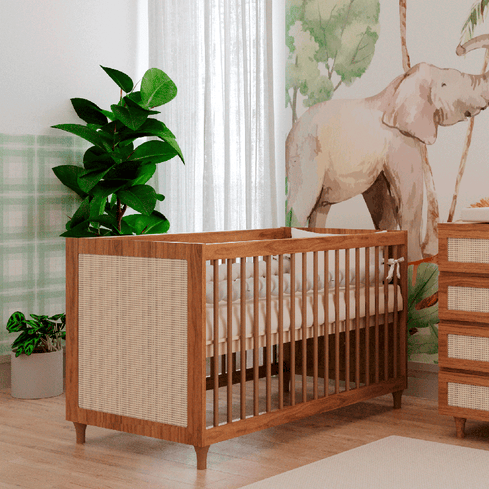 Quarto Safari do Davi  Nature Freijó