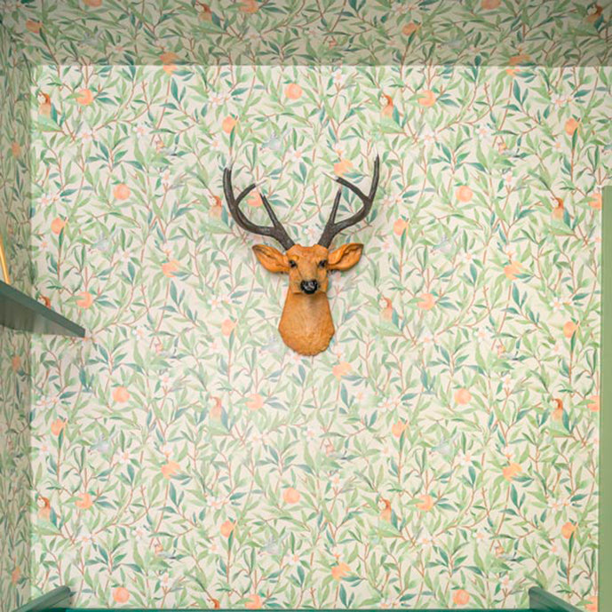 Quarto do Francisco @thailaayala @renatogoess