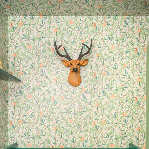 Quarto do Francisco @thailaayala @renatogoess