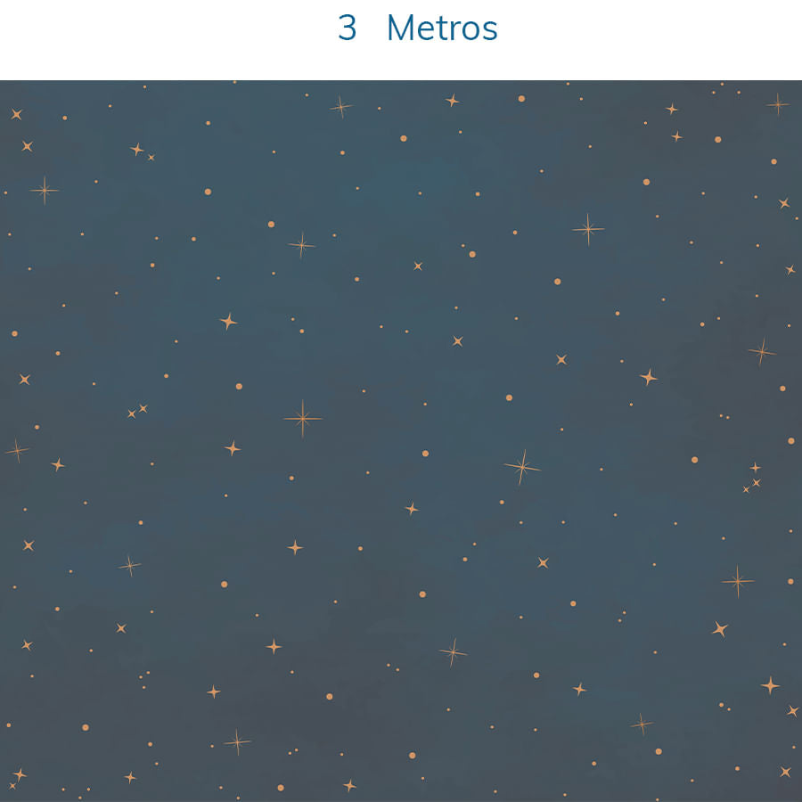 Papel de Parede Estrelas Marinho e Coral - Mural