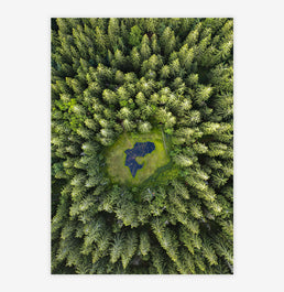 Quadro Floresta de Pinheiros - Vertical