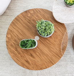 Mesa de Centro Roma Redonda - Madeira Damasco