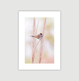 Quadro Pássaro Na Folhagem - Vertical