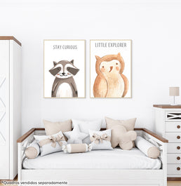 Conjunto com 2 Quadros Esquilo e Coruja Moldura Filete Pinus