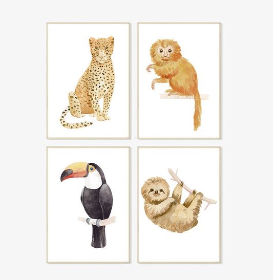 Conjunto com 4 Quadros Preguiça, Tucano, Mico e Onça Moldura Filete Pinus