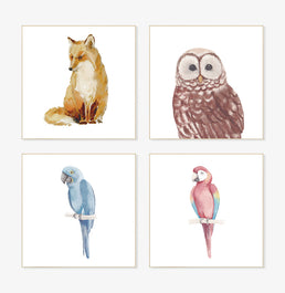 Conjunto com 4 Quadros Pássaros e Raposa Moldura Filete Pinus