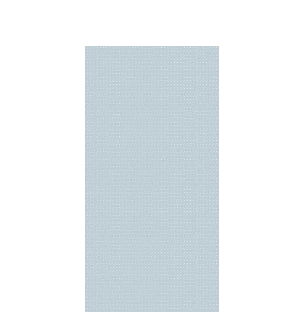 Papel de Parede Adesivo Mini Poá Fundo Color 4,00 x 2,70m - Bota Fora