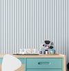 Papel de Parede Cola Listra Grossa 4,00 x 1,70m - Bota Fora