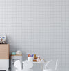 PAPEL DE PAREDE COLA GRIDE CINZA 3,50 X 1,70 M - BOTA FORA