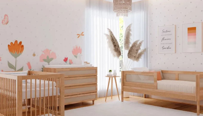 Imagem da primeira seção